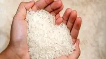 سالانه تا یک میلیون و ۴۰۰ هزار تن نیاز به واردات برنج داریم