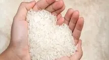 سالانه تا یک میلیون و ۴۰۰ هزار تن نیاز به واردات برنج داریم