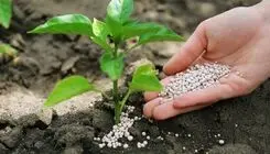 درج حق بیمه سهم کشاورز در قانون بودجه ۱۴۰۵