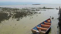 سرنوشت تلخ خلیج گرگان