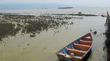سرنوشت تلخ خلیج گرگان