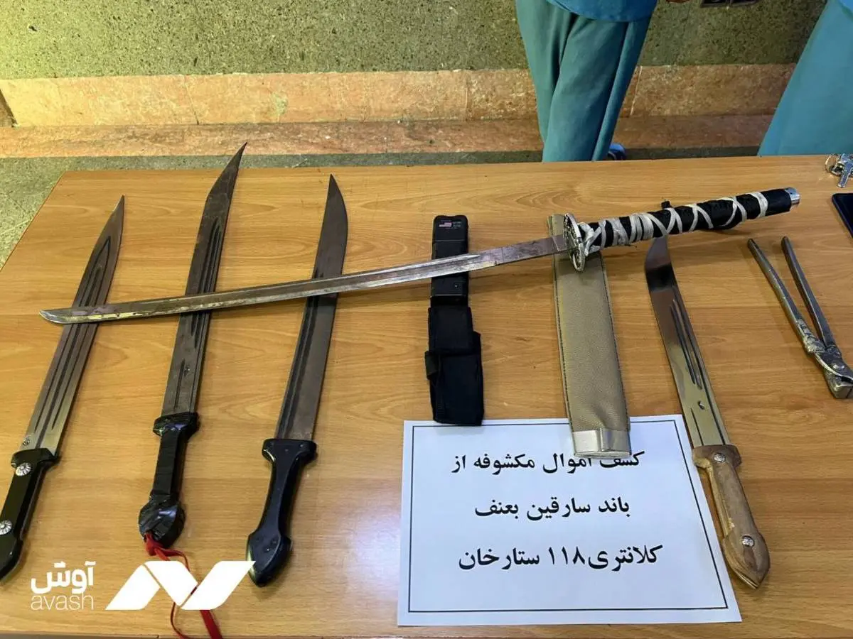 جزئیات دستگیری اعضای باند سارقان خشن ستارخان