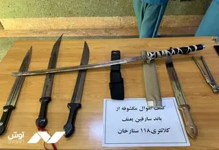 فیلمی از یکی از سرقت‌های باند زورگیران خشن