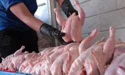 قیمت مرغ، گوشت سفید و تخم مرغ در بازار/ جدول