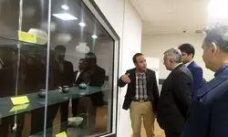 بازدید معاون عراقچی از محوطه باستانی شهر سوخته