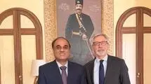 تحولات منطقه‌ای؛ محور گفت‌وگوی سفرای پاکستان و فرانسه در تهران