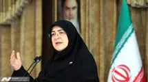 نمی‌دانم چه کسی از طرف دولت به دیدار میرحسین موسوی رفته است/ پزشکیان به گزارش کمیسیون درباره لایحه مقابله با انتشار محتوای خلاف واقع در فضای مجازی اعتماد کرده بود 