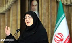 نمی‌دانم چه کسی از طرف دولت به دیدار میرحسین موسوی رفته است/ پزشکیان به گزارش کمیسیون درباره لایحه مقابله با انتشار محتوای خلاف واقع در فضای مجازی اعتماد کرده بود 