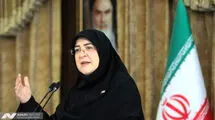 نمی‌دانم چه کسی از طرف دولت به دیدار میرحسین موسوی رفته است/ پزشکیان به گزارش کمیسیون درباره لایحه مقابله با انتشار محتوای خلاف واقع در فضای مجازی اعتماد کرده بود 