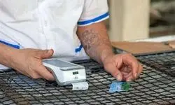 سامانه نانینو چیست و چرا نانواها خواستار توقف فعالیتش هستند؟