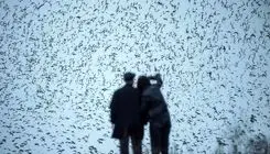 تعداد پرندگان در طبیعت شش برابر انسان است!