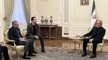 دیدار وزیر کشور پاکستان با مسعود پزشکیان
