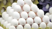 نرخ هر کیلو تخم‌مرغ اعلام شد؛ بین ۵۶ تا ۶۱ هزار تومان!