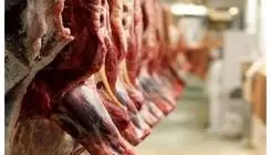 پایان اختلال در واردات