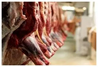 پایان اختلال در واردات