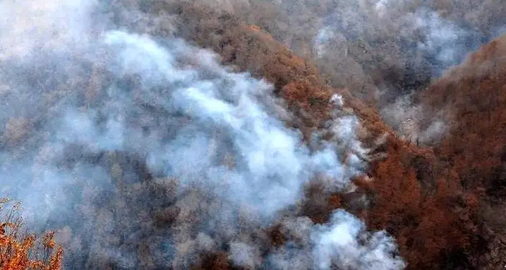 جنگل‌های الیت چالوس در چنگال آتش