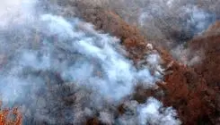 جنگل‌های الیت چالوس در چنگال آتش