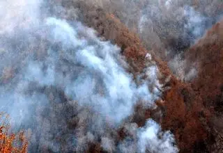 جنگل‌های الیت چالوس در چنگال آتش