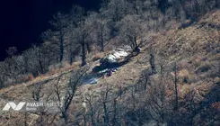 سه تا ۱۰ سال حبس برای آتش زدن عمدی جنگل‌ها