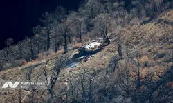 جزییات عملیات اطفای حریق در جنگل‌های هیرکانی الیت