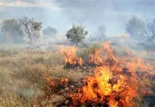 تشکیل پرونده قضایی برای آتش‌سوزی کوه آبیدر سنندج