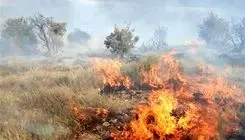 تشکیل پرونده قضایی برای آتش‌سوزی کوه آبیدر سنندج