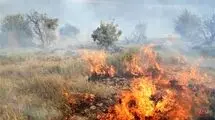 تشکیل پرونده قضایی برای آتش‌سوزی کوه آبیدر سنندج