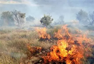 تشکیل پرونده قضایی برای آتش‌سوزی کوه آبیدر سنندج