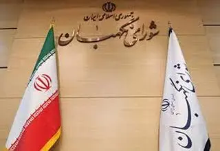 سرگذشت یک هیات؛ حامی حریم قانون اساسی یا رقیب شورای نگهبان؟