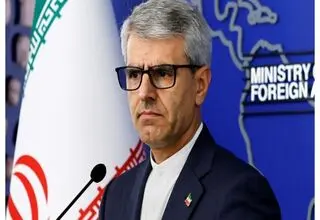 بقائی: ظریف دیدگاه‌هایش را به صورت صریح در پیامی که داشت، مطرح کرد 