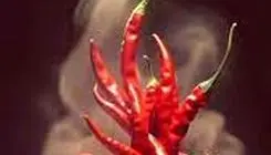 «مغز» را آتش می‌زند نه «زبان» را