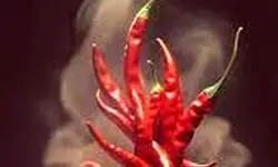 «مغز» را آتش می‌زند نه «زبان» را