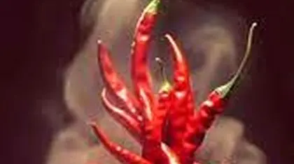 «مغز» را آتش می‌زند نه «زبان» را