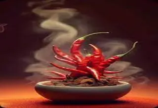 «مغز» را آتش می‌زند نه «زبان» را