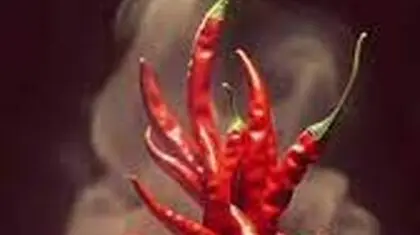«مغز» را آتش می‌زند نه «زبان» را
