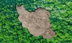 توزیع کیسه‌های زباله در روز طبیعت با هدف کاهش پسماند در استان تهران