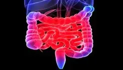 صفر شویی روده، با رعایت این چند نکته