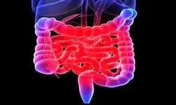 صفر شویی روده، با رعایت این چند نکته