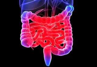 صفر شویی روده، با رعایت این چند نکته