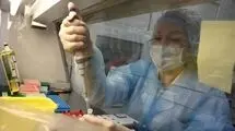  طاعون ریوی کشنده است؟/ راه های انتقال ویروس