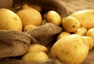 قیمت سیب‌زمینی وارداتی اعلام شد