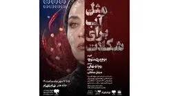 بلیت‌ فروشی نمایش «مثل آب برای شکلات» آغاز شد