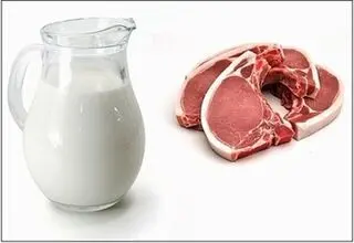 محدودیت ورود گوشت و لبنیات به انگلیس با شیوع یک بیماری