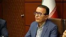 واردات گوشت به صورت پروازی نداریم