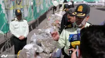 واکنش فرمانده انتظامی تهران بزرگ به کشت خشخاش