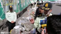 واکنش فرمانده انتظامی تهران بزرگ به کشت خشخاش
