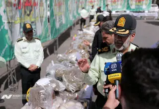 واکنش فرمانده انتظامی تهران بزرگ به کشت خشخاش