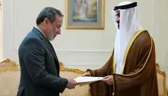 سفیر جدید امارات با عراقچی دیدار کرد