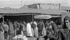 دستگیری جنجالی بستنی‌فروش میدان حسن‌آباد تهران
