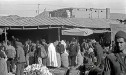 دستگیری جنجالی بستنی‌فروش میدان حسن‌آباد تهران